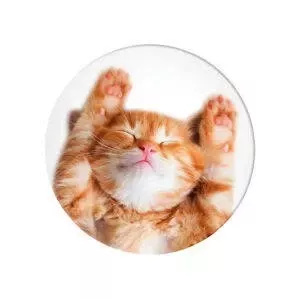 Držák a stojan na telefon Popsockets 2 Snoozy Cat