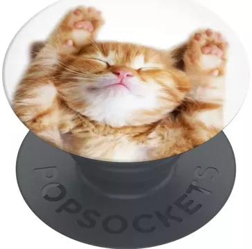 Držák a stojan na telefon Popsockets 2 Snoozy Cat