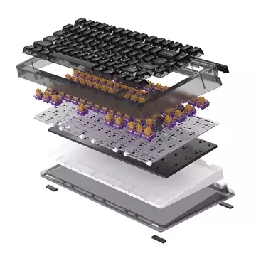 Dareu A81 mechanische Tastatur (schwarz)