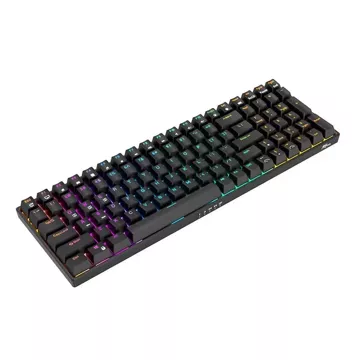 Royal Kludge RK100 RGB mechanische Tastatur, roter Schalter (schwarz)