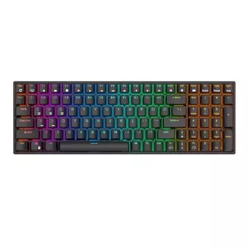 Royal Kludge RK100 RGB mechanische Tastatur, roter Schalter (schwarz)