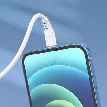 USB-Wandladegerät USB - Lightning-Kabel für iPhone 1 m schnell 2,4 A 12 W Denmen Weiß