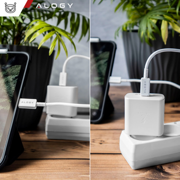 Швидкий настінний зарядний пристрій USB-C типу C PD преміум-класу, 45 Вт, 3 A, кабель Type-C, 1 М Alogy White