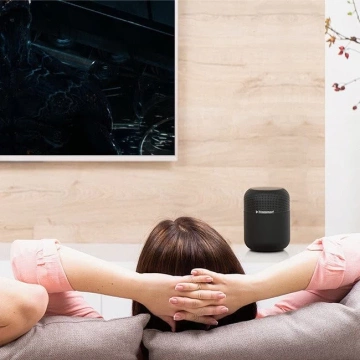 Tronsmart Element T6 Max 60 W tragbarer drahtloser Bluetooth 5.0-Lautsprecher schwarz (365144)