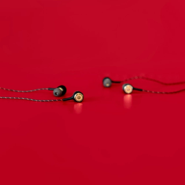 Sluchátka do uší Dudao s dálkovým ovládáním a mikrofonem 3,5 mm mini jack stříbrný (X12PRO-Silver)