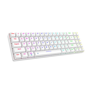 Dareu EK871 Bluetooth 2.4G RGB Kabellose mechanische Tastatur (Weiß)