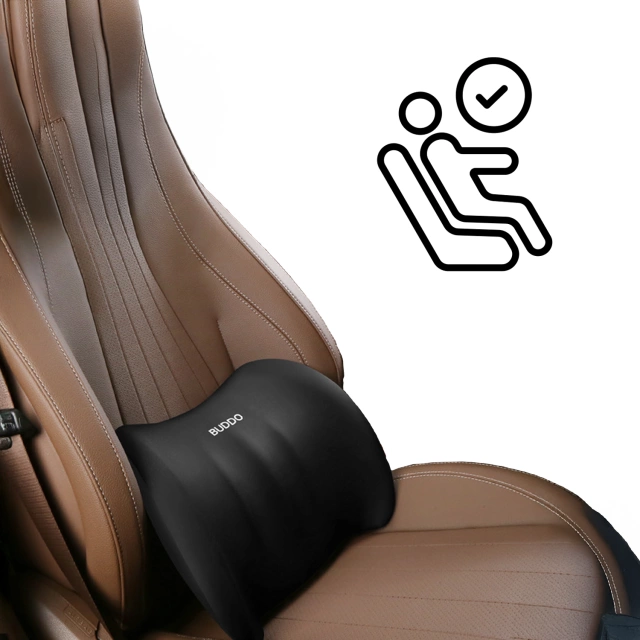 Alogy Car Pillow Lumbar Back Support Memory Foam Black