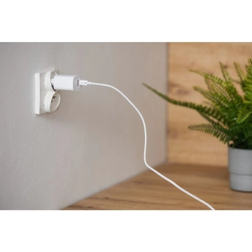 Настінний зарядний пристрій FORCELL F-ENERGY Type C USB A PD QC4.0 3A 30W Білий