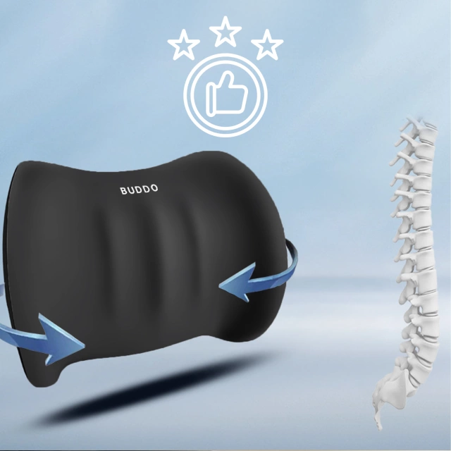 2x Car Lumbar Back Support Pillow Memory Foam Office Black