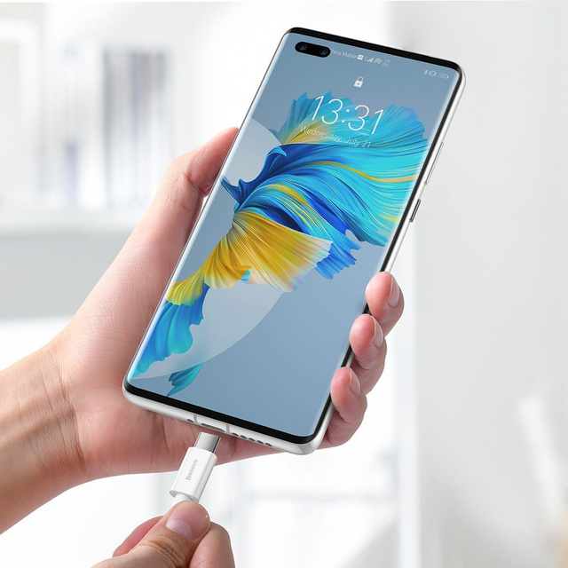 Baseus Superior Series USB to USB-C Type C 66W Cable White