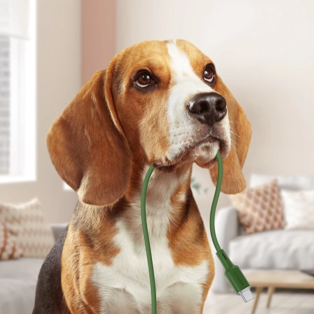 Acefast cable USB Type C - USB Type C 1.2m, 60W (20V/3A) green (C2-03 oliver green)