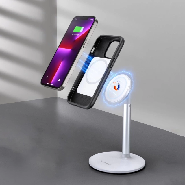 Choetech Hülle für iPhone 13 Pro Max schwarz (pc0114-mfm-bk)