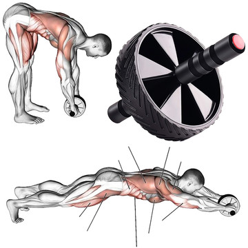 Wheel Abdominal Muscle Roller Biceps ABS Wheel Fitness Wheel Training Sports Black