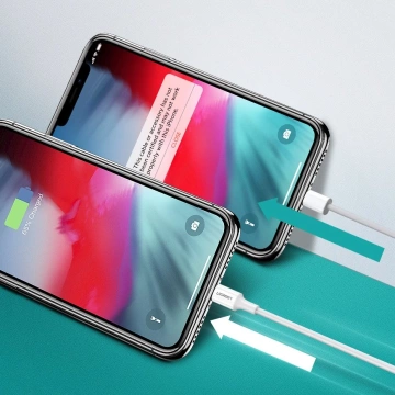 Uzelený kabel USB typu C - Lightning MFI 1m 3A 18W bílý (10493)