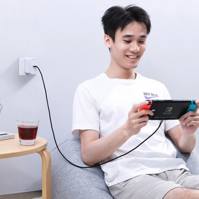 Ugreen cable cable USB Type C - USB Type C 5 A 100 W Power Delivery Quick Charge 3.0 FCP 480 Mbps 2 m gray (70429 US316)