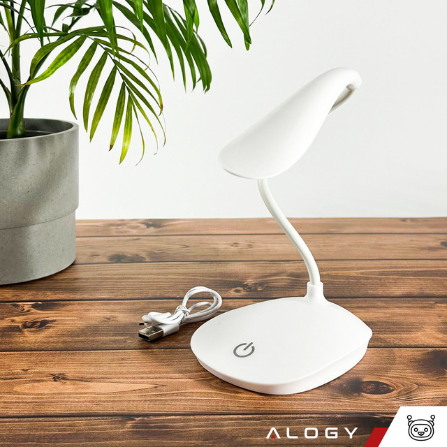 LED desk lamp for desk touch touch school USB standing night wireless Flexible Alogy White
