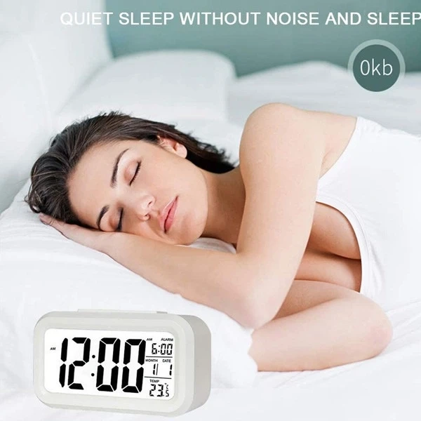 Alarm clock Trusty large LCD white ZG21