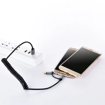 Choetech 2in1 Kabel USB - USB Typ C / Micro USB 1,2m schwarz (XAC-0012-101BK)