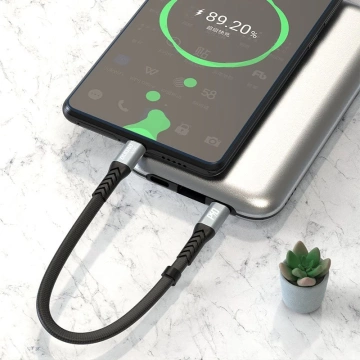Dudao L10C kabel USB Typ C - USB Typ C PD100W černý (L10C)