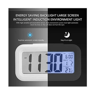 Alarm clock Trusty large LCD white ZG21