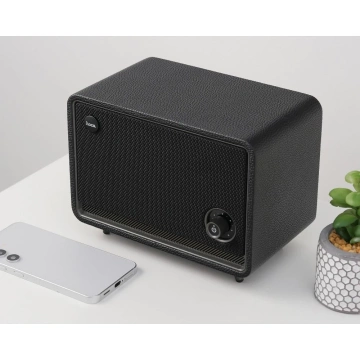Retro Bluetooth Speaker 30W, 2600mAh FM / TF / AUX - Portable, 10h