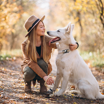 Hundehalsband-Etui für Apple AirTag Black Ortungsgerät