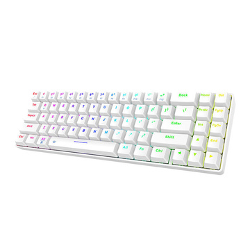 Dareu EK871 Bluetooth 2.4G RGB wireless mechanical keyboard (white)