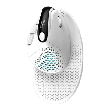 Delux M618XSD BT 2.4G RGB Wireless Vertical Mouse (White)