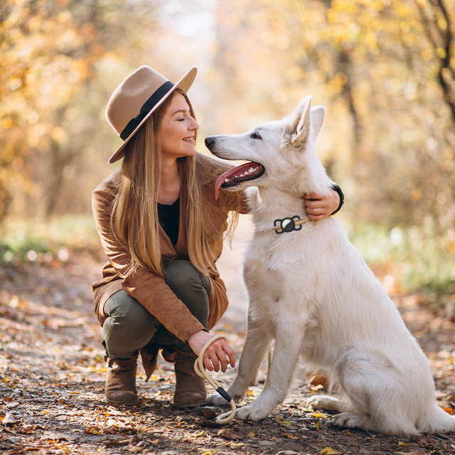 Hundehalsband-Etui für Apple AirTag Black Ortungsgerät