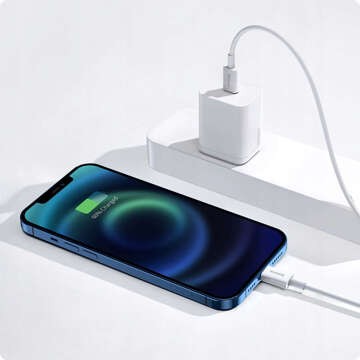 Univerzálny kábel BASEUS USB-C to Lightning PD 1m