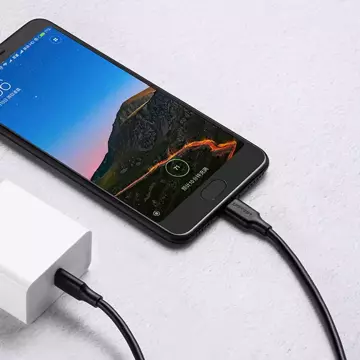 Uzelený nabíjací a dátový kábel USB typu C 3A 2m čierny (US286)