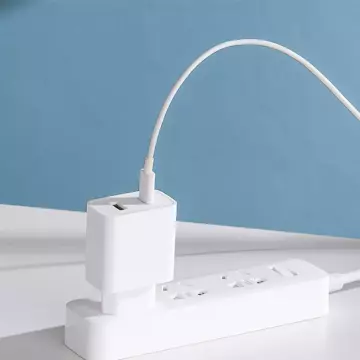 Зарядний пристрій Xiaomi Mi USB/USB-C 33W EU white (BHR4996GL)